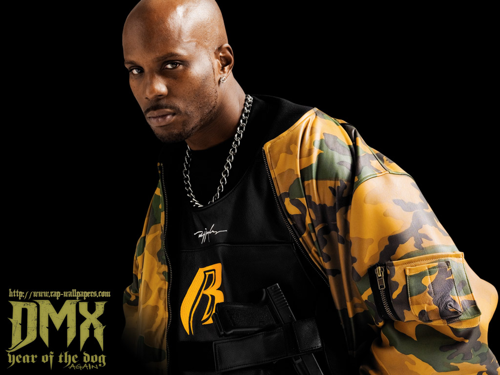 dmx.jpg